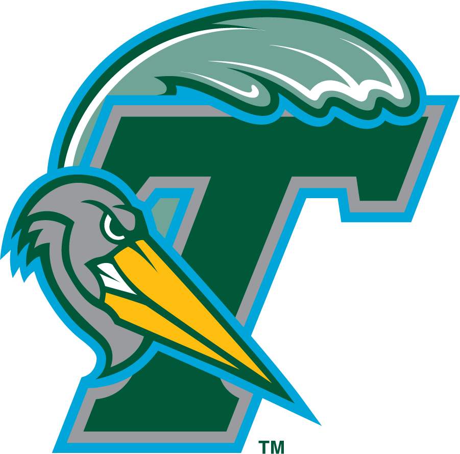 Tulane Green Wave 1998-2005 Secondary Logo iron on transfers for clothing